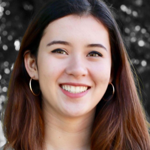 Seasoned college application consultant